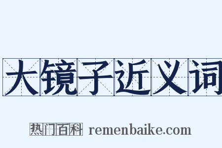 大镜子近义词是什么意思的图片